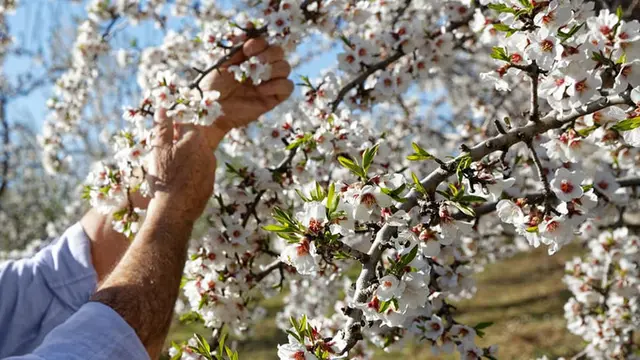 Magnificent Environmental Brand - L'Occitane: Melestarikan Tradisi Khas Provence dengan Hadirnya Rangkaian Perawatan Tubuh Alami yang Mendun