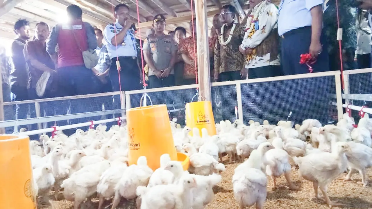 Para pejabat Kantor Wilayah (Kakanwil) Kemenkumham Jawa Barat,beserta lapas dan pejabat Garut, tengah meninjau pembinaan warga binaan dengan ternak ayam