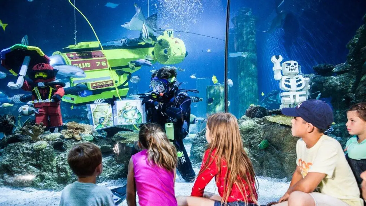 Akuarium Sea Life, Atraksi Terbaru Persembahan Legoland Malaysia