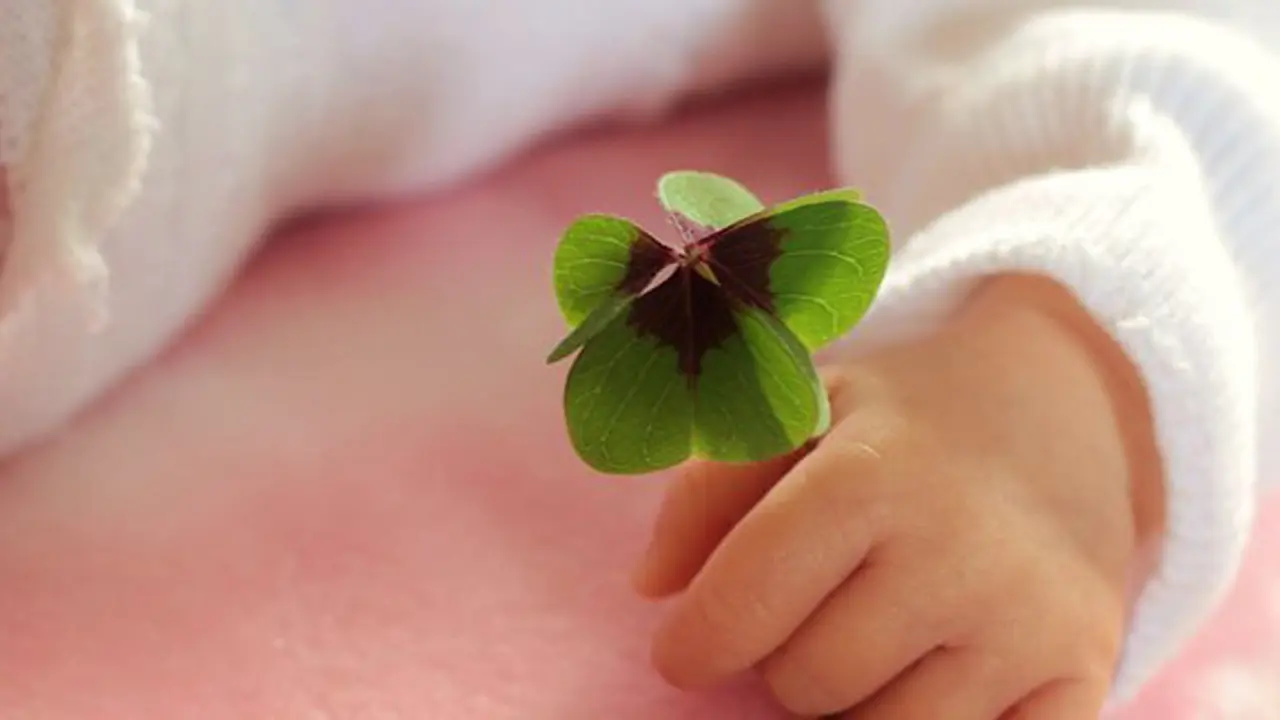 Ilustrasi./Copyright pixabay.com