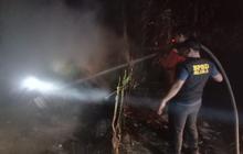 Kebakaran Peternakan Ayam di Blora, 30 Ribu Ekor Terpanggang