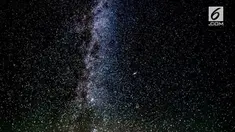 Pemilik lima zodiak ini disebut-sebut merupakan zodiak yang lucu karena memiliki selera humor yang tinggi.