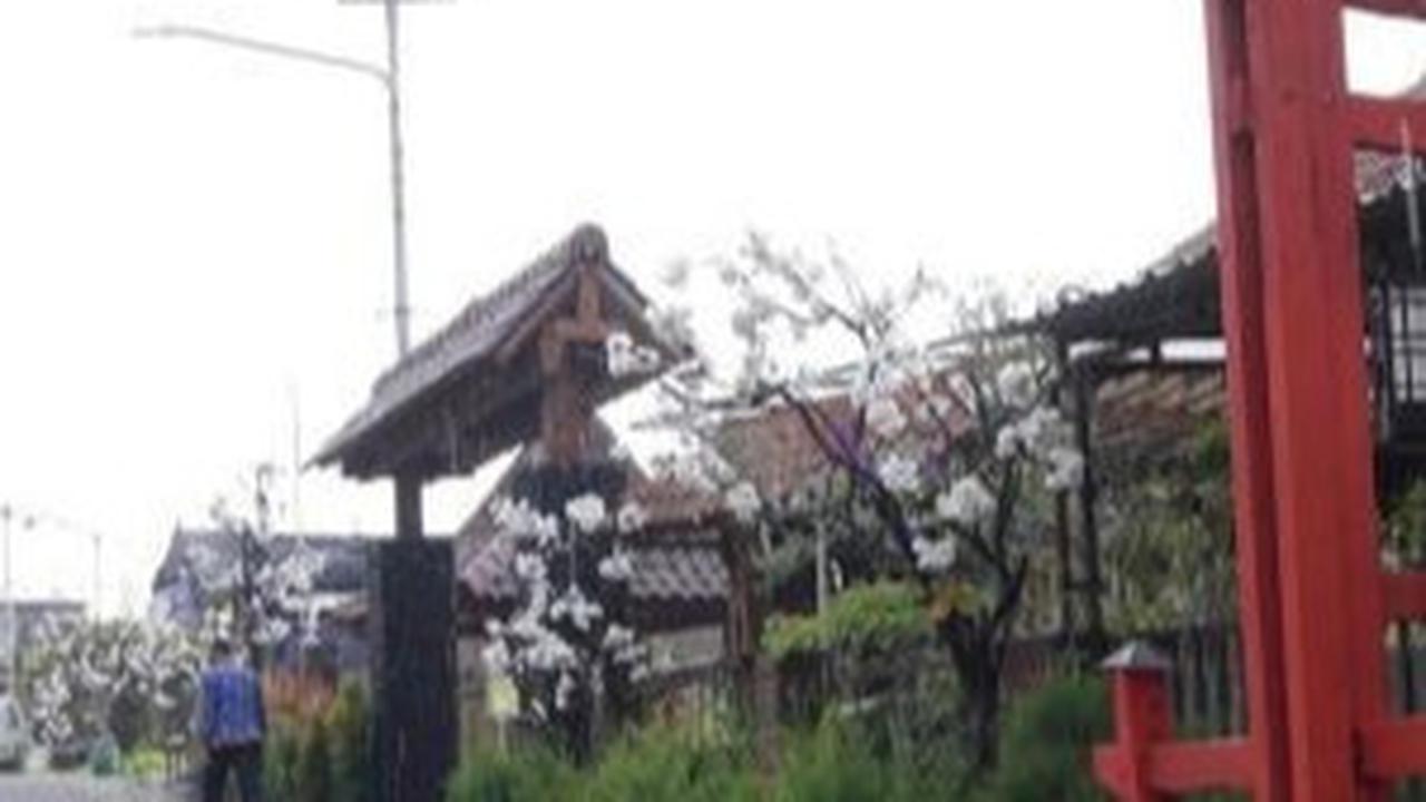 Mengintip Kampung Sakura Versi Kota Batu Tarik, Serasa di Jepang Beneran