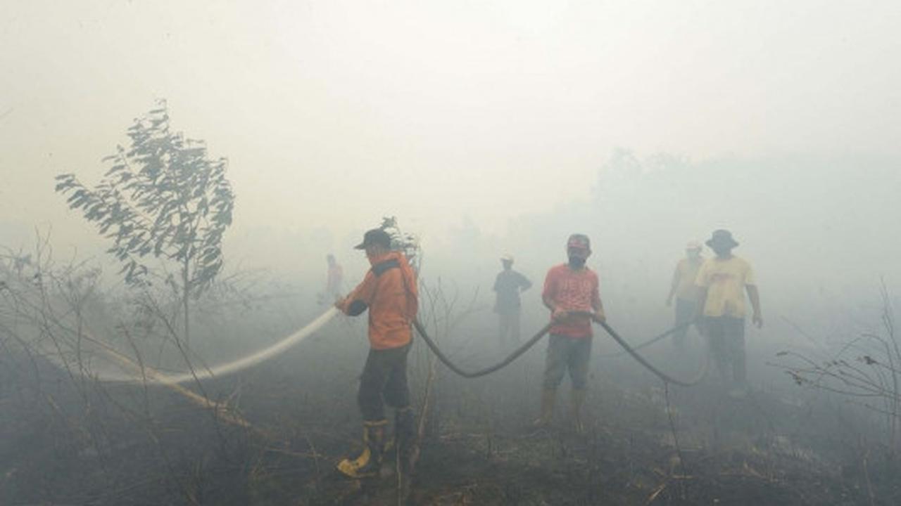 Aksi tim gabungan terobos asap tebal padamkan kebakaran hutan Riau