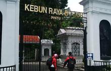 Jejak Sejarah Kelapa Sawit, Dari Kebun Raya Bogor hingga menjadi Industri Raksasa Asia Tenggara