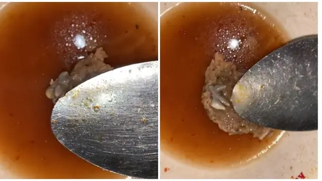 6 Momen Apes Temukan Tikus di Makanan Ini Bikin Mual, Jadi Hilang Nafsu