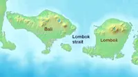 Menko Kemaritiman  Rizal Ramli berkeinginan menggeser jalur pelayaran dunia dari Selat Malaka ke Selat Lombok. 
