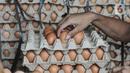 Pekerja memilih telur ayam di salah satu agen di Jakarta, Selasa (14/3/2023). Kenaikan sejumlah harga komoditas pangan salah satunya telur ayam merupakan kondisi yang terjadi setiap tahunnya atau menjelang Hari Besar Keagamaan dan Nasional (HBKN). (merdeka.com/Iqbal S Nugroho)