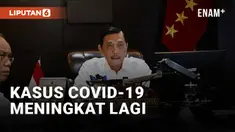 Luhut