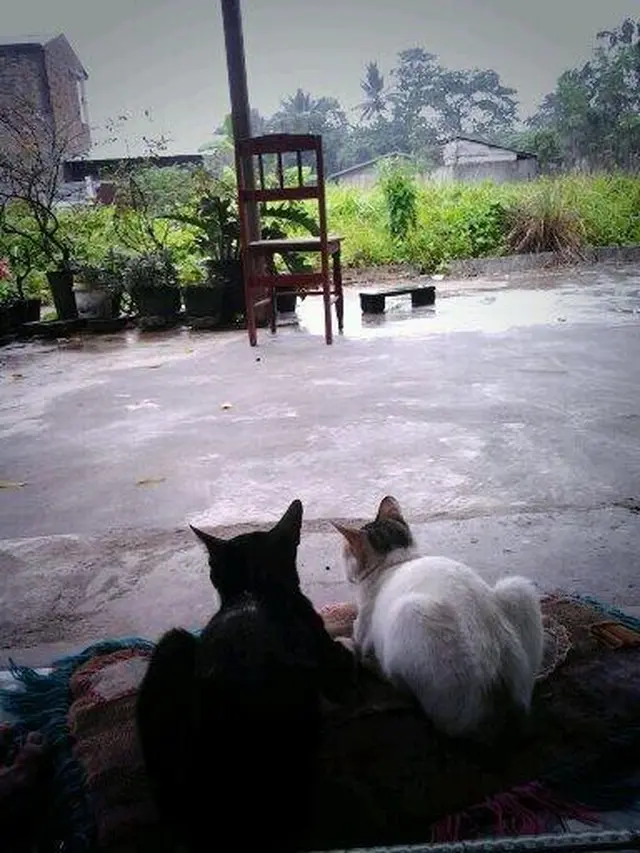 6 Momen Pacaran saat Hujan Ini Nyeleneh, Bikin Elus Dada