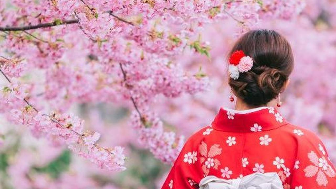 Wisata di Jepang yang Wajib Dikunjungi