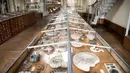 Koleksi fosil yang tersimpan di galeri paleontologi Museum Sejarah Alam Prancis di Paris, Kamis (16/11). Museum yang menyimpan ribuan tulang belulang hewan dan benda purba ini berencana merenovasi gedungnya. (Martin BUREAU/AFP)