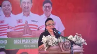 Ketua DPD Partai Kebangkitan Nusantara (PKN) Sumatera Selatan Lucianty (Istimewa)