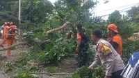 Pemprov DKI Tanggung Biaya Pemakaman Korban Tewas Akibat Tertimpa Pohon di Jaksel