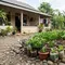 Cara Menyulap Sudut Pekarangan Berbatu Menjadi Kebun Sayur, Ini 9 Langkah yang Bisa Dicoba