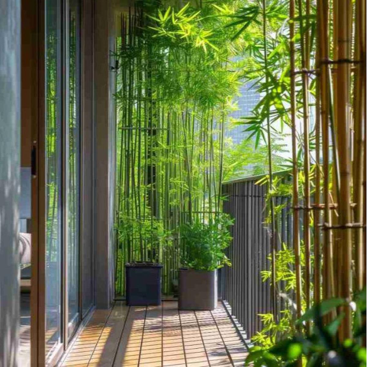 Ilustrasi Balkon dengan Tanaman Bambu Jepang untuk Nuansa Eksotis (©Pinterest)
