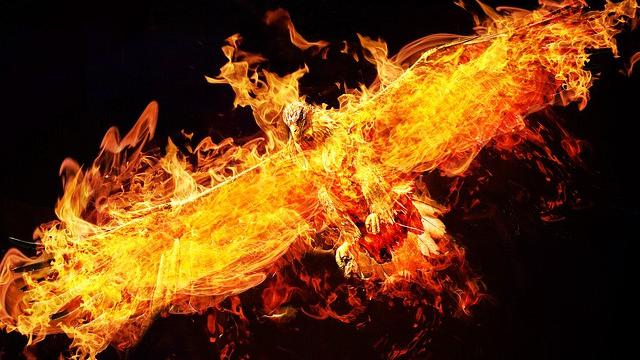 Ilustrasi burung phoenix