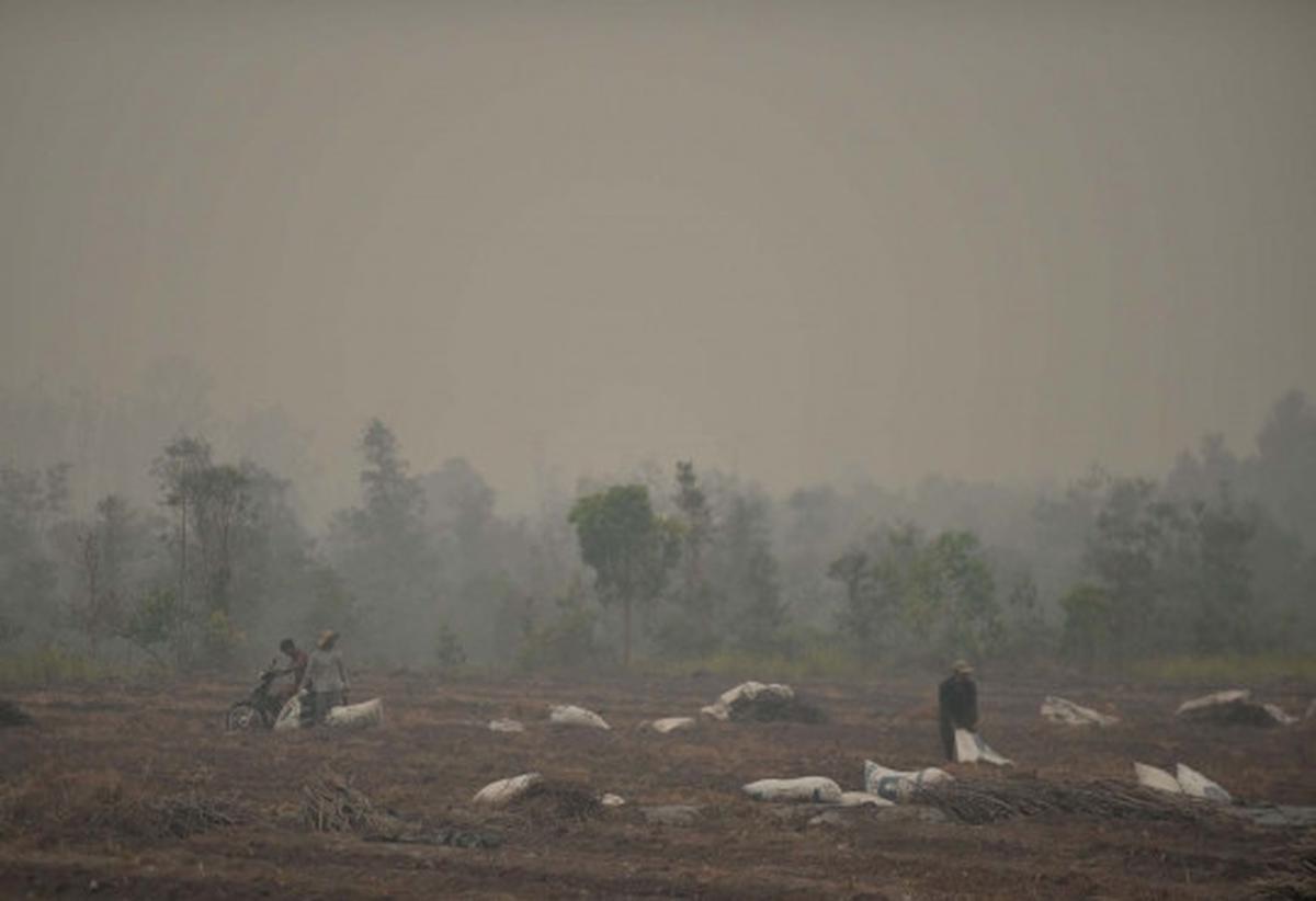 Perjuangan warga padamkan kebakaran hutan dengan alat seadanya