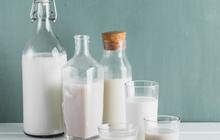 BenarkahSusu Sapi Lebih Sehat Dibanding Oat Milk? Ini Alasannya