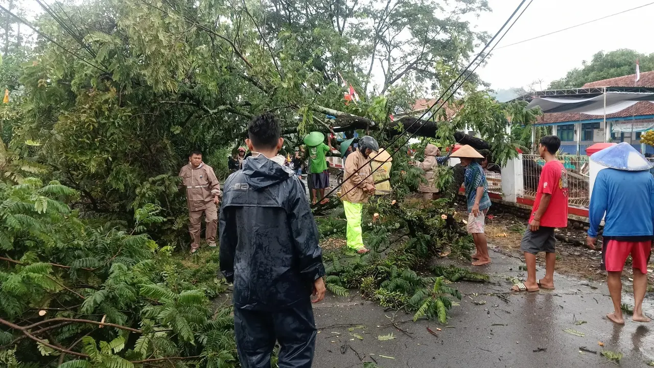 Pengangkut surat suara sempat terjebak pohon tumbang. (Foto: Liputan6.com/Polres Pemalang)