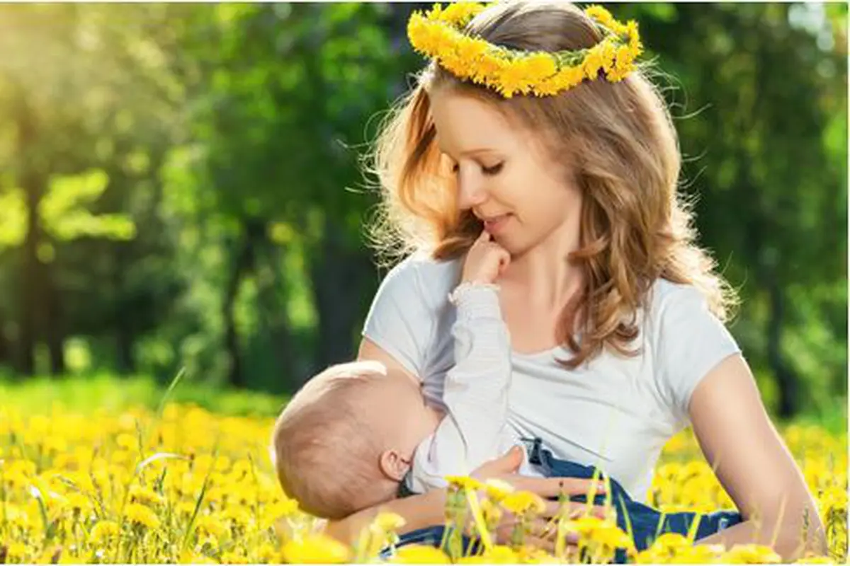 Foto: copyright shutterstock.com