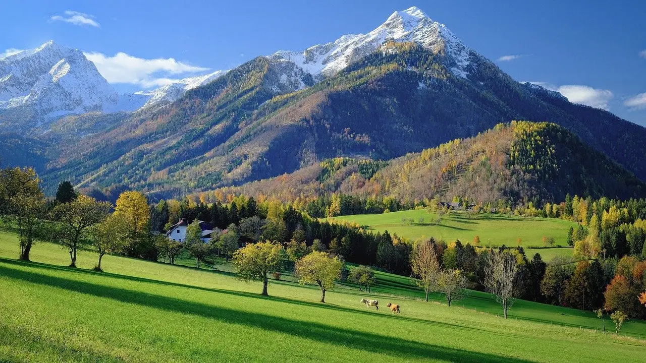 Gambar oleh Karl Egger dari Pixabay