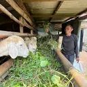 Abah Sakam, Penjaga Warisan Ternak yang Bertahan 4 Dekade