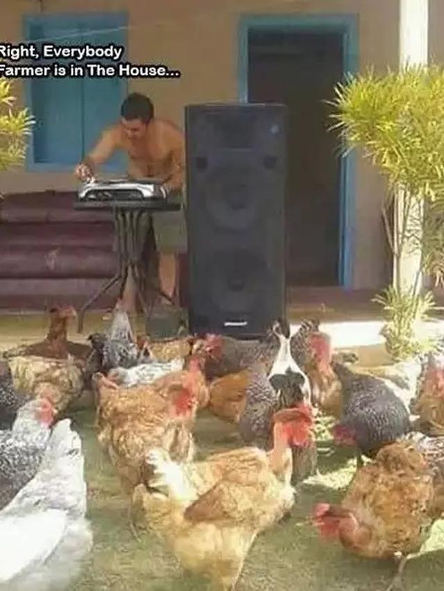 7 Momen Nyeleneh Orang Manjakan Hewan Peliharaan Ini Kocak Banget