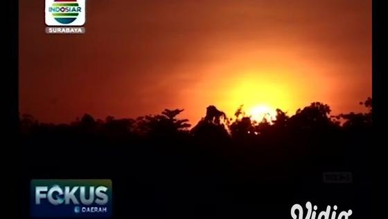 VIDEO: Menikmati Nuansa Jepang di Taman Dira Jember