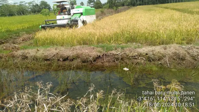 Petani di Desa Tahai Baru