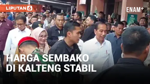 VIDEO: Jokowi Cek Pasar di Kalteng: Harga Sembako Tak Terpaut Jauh dari Pulau Jawa
