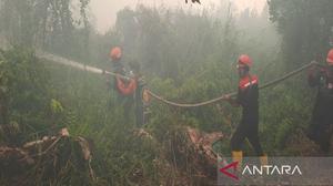 Kebakaran Hutan Mengganas, Dua Kompleks Perumahan di Banjarbaru Terancam