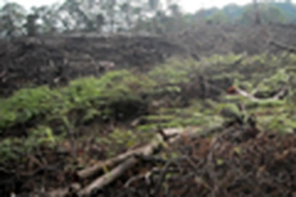 Tangisan Bukit Barisan