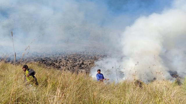 Kebakaran di Taman Nasional Bromo Tengger Semeru, dari Bantengan Menjalar ke Pos Jemplang