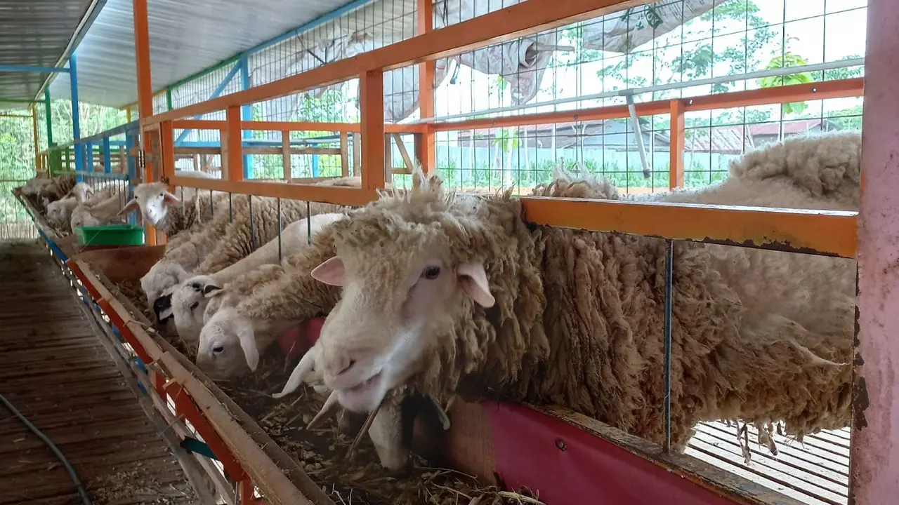 Agrowisata Bali Ndeso.