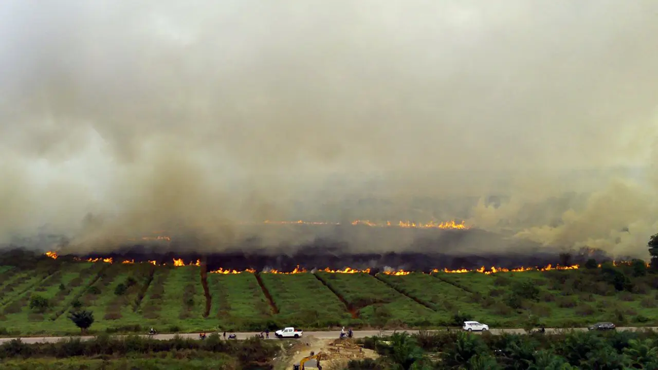 Kebakaran Lahan Gambut di Ogan Ilir
