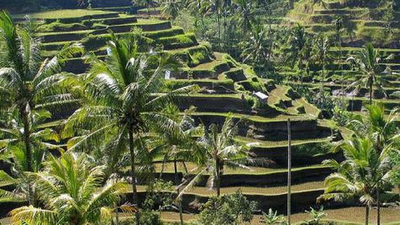 Daftar warisan Indonesia yang diakui UNESCO