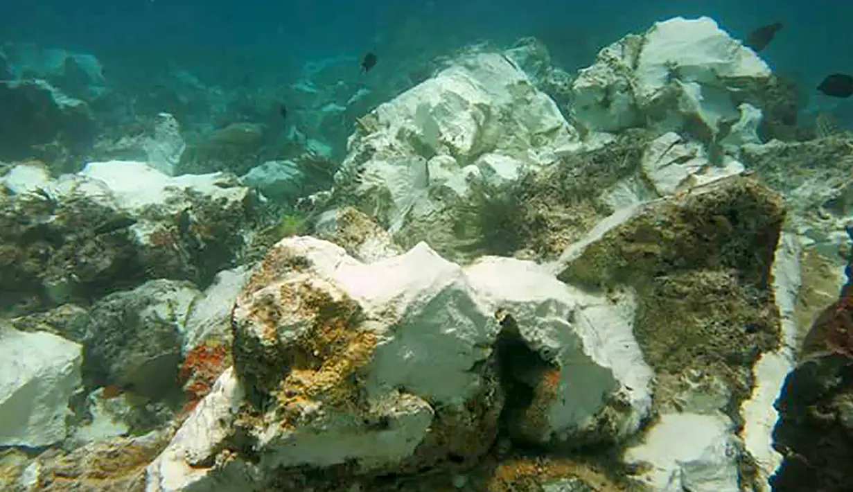 Kondisi terumbu karang yang rusak di perairan Raja Ampat usai dihantam kapal pesiar Inggris, Papua, Senin (13/3). Pemerintah Indonesia berencana menuntut ganti rugi atas kerusakan terumbu karang seluas hampir 1600 m2. (AFP Photo/Bakamla)