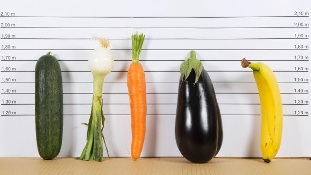 Ukuran Penis Ideal, Buat Wanita Bahagia?