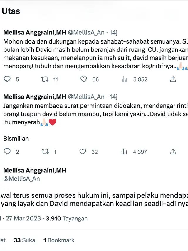 Cuitan pengacara David Ozora, Mellisa Anggarini, M.H. (Foto: Dok. Twitter @MellisA_An)