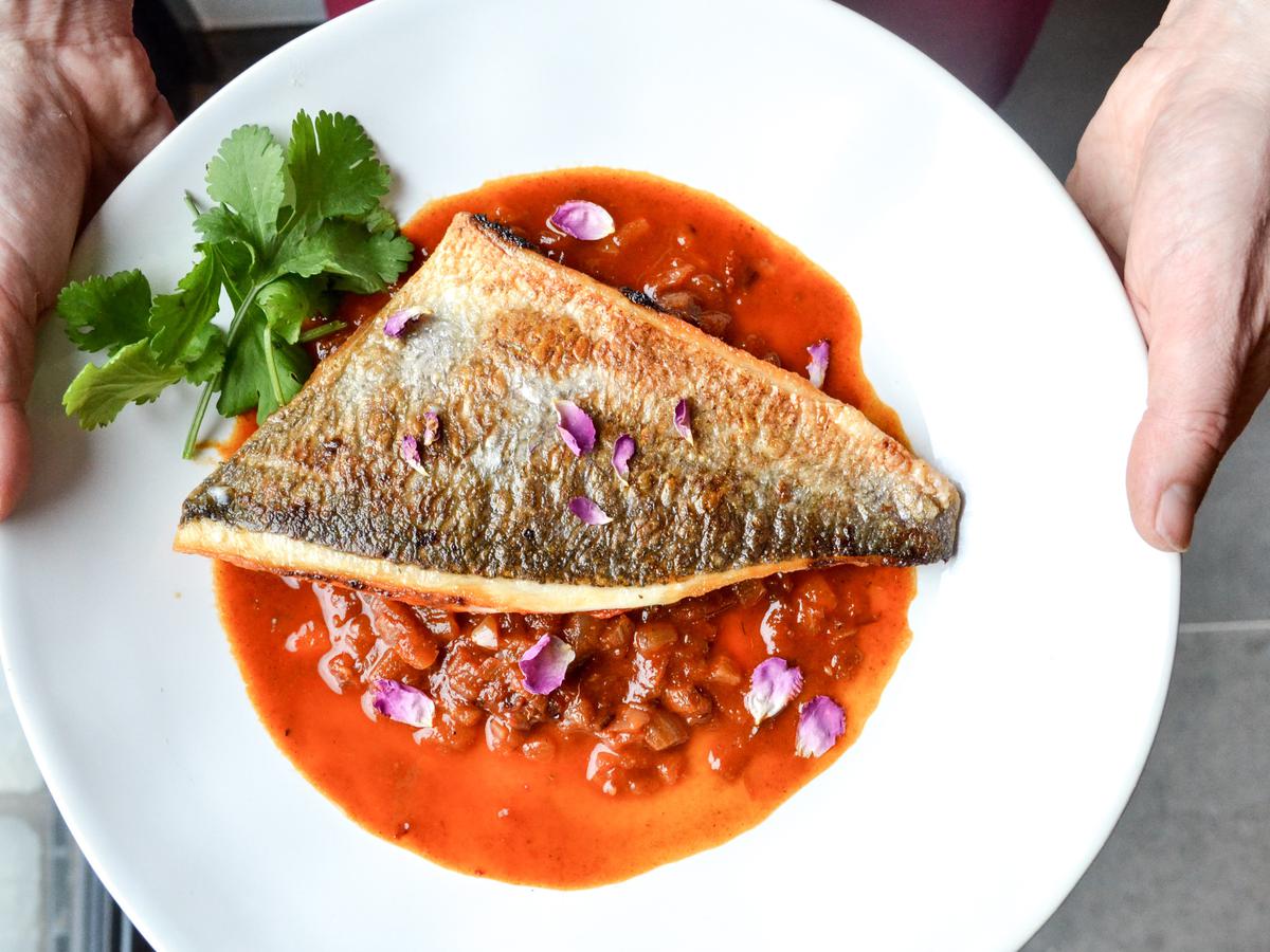 710 Koleksi Resep Olahan Ikan Air Laut HD