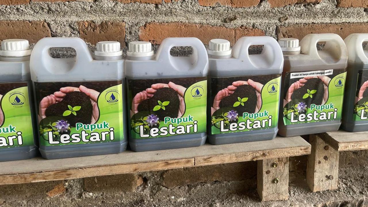 Kreatif, Nelayan Waduk Cengklik Boyolali Sulap Enceng Gondok Jadi Energi Listrik