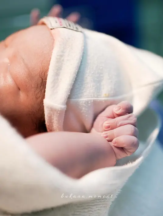 Siti Badriah (Instagram/sitibadriahh)