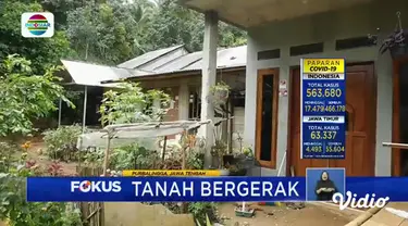 Fokus edisi (5/12) menyajikan beberapa tema di antaranya, Wisatawan Ramai, Jalur Puncak Padat, Harimau Liar Muncul Di Ladang, Wisata Raja Ampat Mulai Menggeliat.