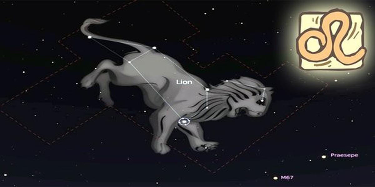 Leo (23 Juli - 22 Agustus)