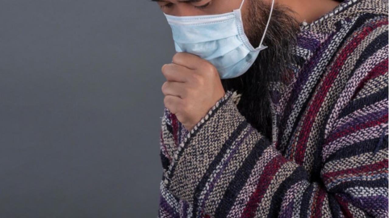 daun sambiloto juga terbukti efektif dalam menangkal virus influenza, sehingga dapat membantu meredakan gejala flu dan mempercepat pemulihan.