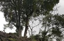 Bukti Baru Kian Menguatkan Gunung Padang Sebagai Piramida Tertua di Dunia, Lebih Tua dari Piramida Mesir