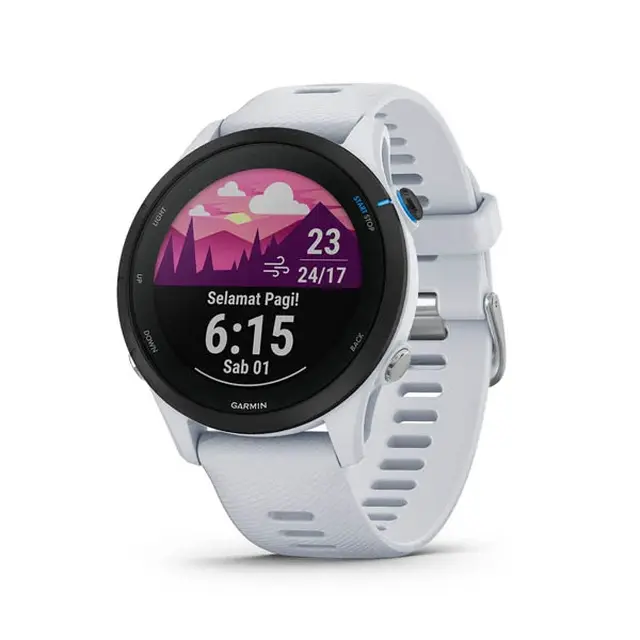Garmin Forerunner 255