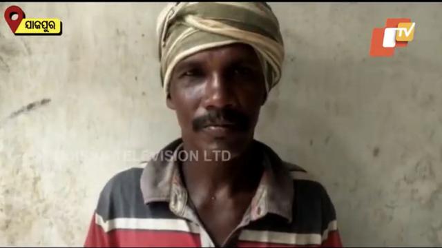 Balas Dendam, Pria India Ini Gigit Balik Ular yang Menggigitnya hingga Mati