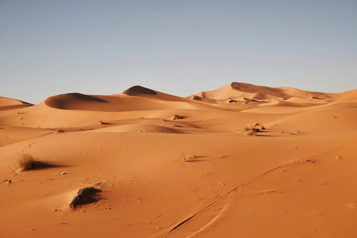 ilustrasi Gurun Sahara